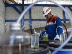 KLH Mengapresiasi Inisiatif Pertamina Geothermal Tingkatkan Ekonomi Sirkular