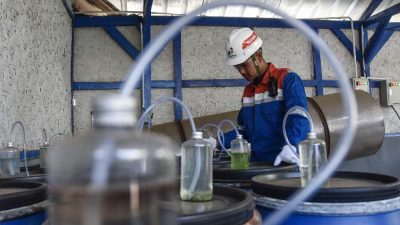 KLH Mengapresiasi Inisiatif Pertamina Geothermal Tingkatkan Ekonomi Sirkular